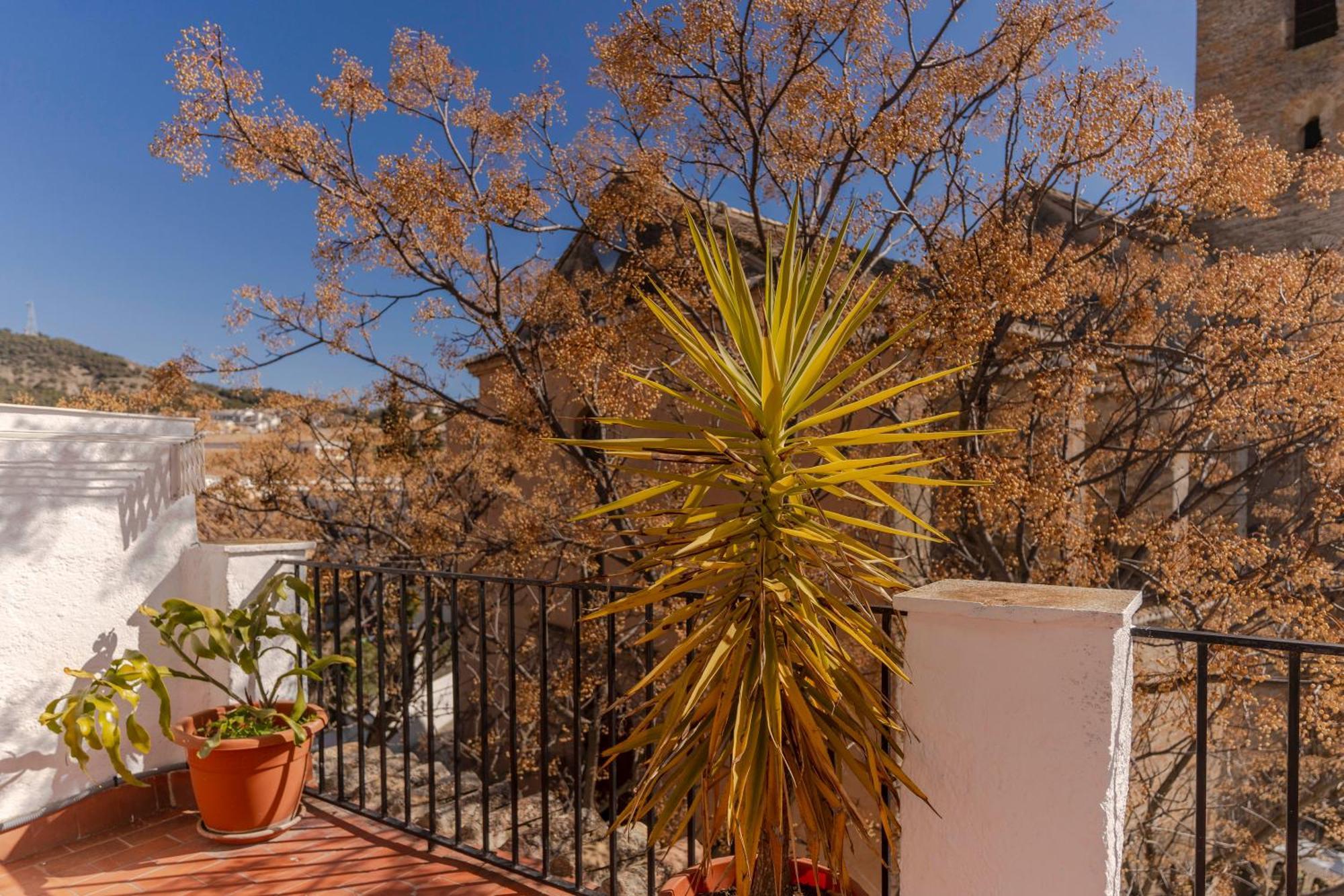 La Casita De La Plaza Granada Exterior foto